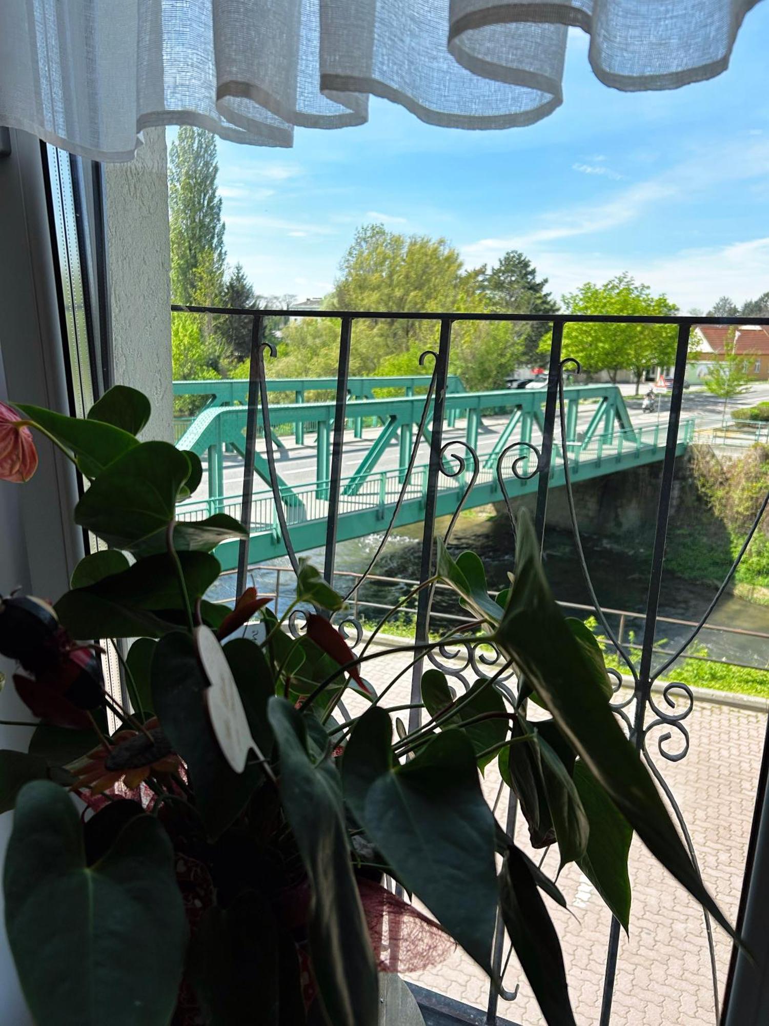 Fruehstueckspension Elena Nicoleta Caltun Fischamend Eksteriør billede